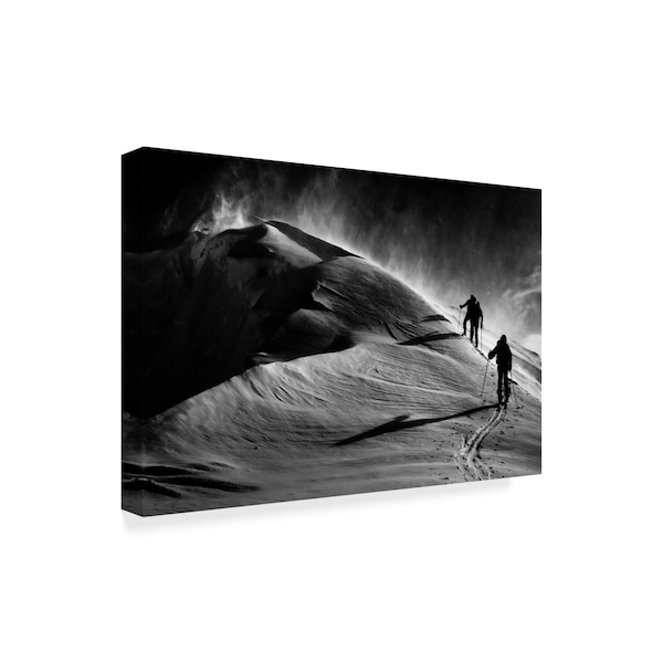 Sandi Bertoncelj 'Windy Mountain' Canvas Art,16x24